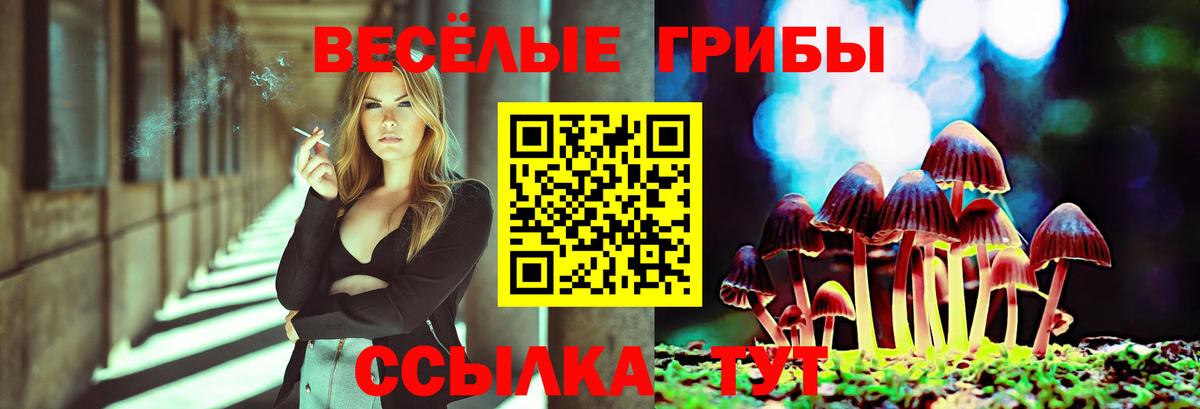 Галлюциногенные грибы мицелий  Вход с VPN  Дмитров 